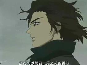 狼雨贵族背景,荣耀与荣耀的传奇岁月