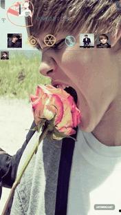 咬玫瑰图片,品味浪漫时光